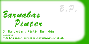 barnabas pinter business card