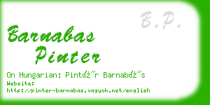 barnabas pinter business card